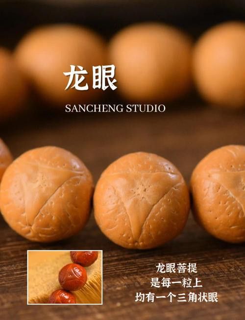 如何區分龍眼菩提的真偽? 龍魚百科 第2張 如何區分龍眼菩提的真偽? 如何區分龍眼菩提的真偽? 龍魚百科 第2張