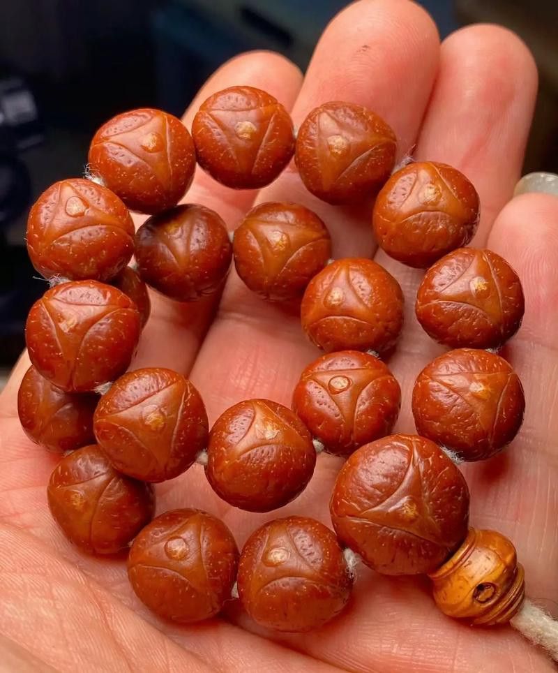 如何區分龍眼菩提的真偽? 龍魚百科 第1張 如何區分龍眼菩提的真偽? 如何區分龍眼菩提的真偽? 龍魚百科 第1張