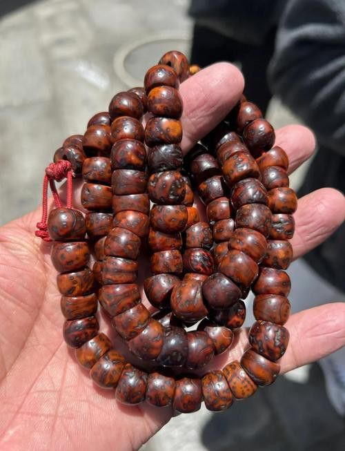 如何區分龍眼菩提的真偽? 龍魚百科 第3張 如何區分龍眼菩提的真偽? 如何區分龍眼菩提的真偽? 龍魚百科 第3張
