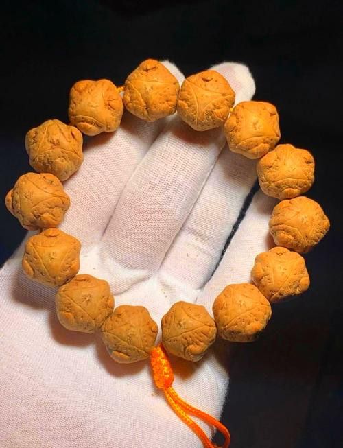 如何區分龍眼菩提的真偽? 龍魚百科 第5張 如何區分龍眼菩提的真偽? 如何區分龍眼菩提的真偽? 龍魚百科 第5張