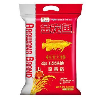 金龍魚眼睛上有白點用什么藥膏：金龍魚眼睛上有白點怎么辦