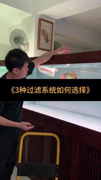 歐柏龍魚缸怎么樣