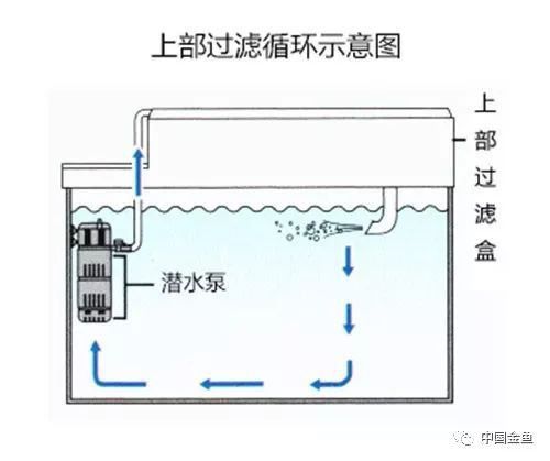 歐柏龍魚缸怎么樣