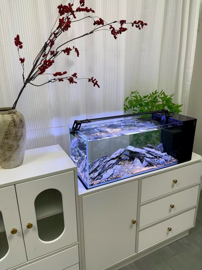 歐柏龍魚缸怎么樣