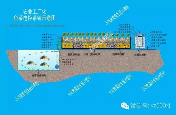 生化環(huán)與生化球在過濾中的角色：生化球與生化球的優(yōu)缺點對比