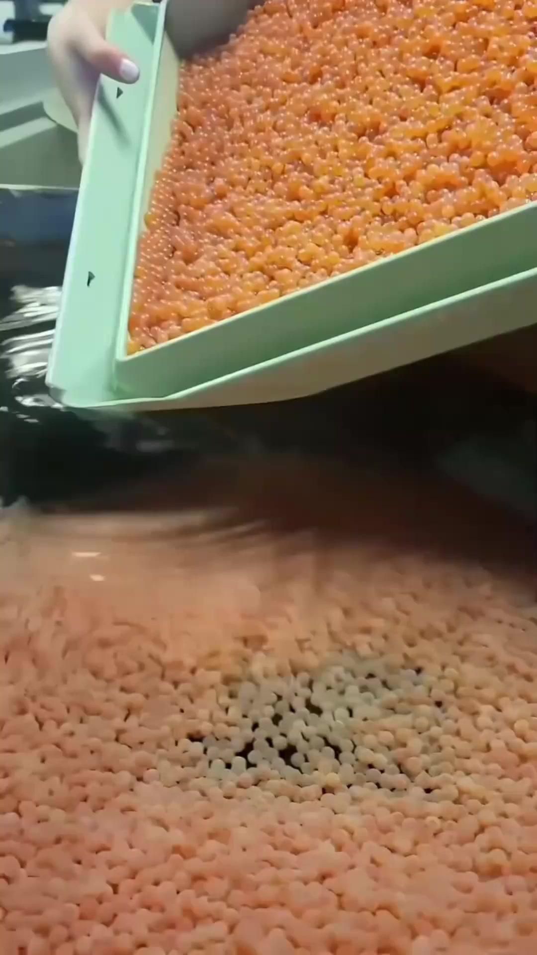 過背龍魚的人工繁殖技術如何？