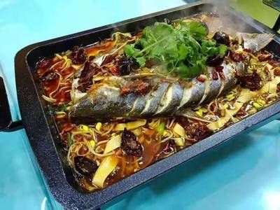 龍魚碼查詢（如何查詢龍魚芯片）