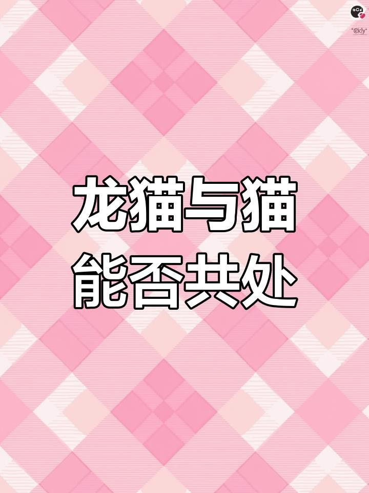 龍貓和貓一起養有哪些注意事項？