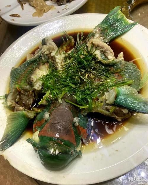 銀龍魚的做法大全圖解竅門