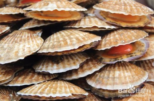 龍魚虎魚打架是因為魚太少嗎為什么：龍魚和虎魚之間的沖突可能由多種因素引起，不僅僅是因為數量較少