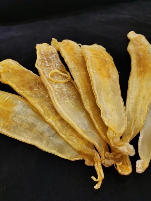 正宗金龍魚膠圖片及價格