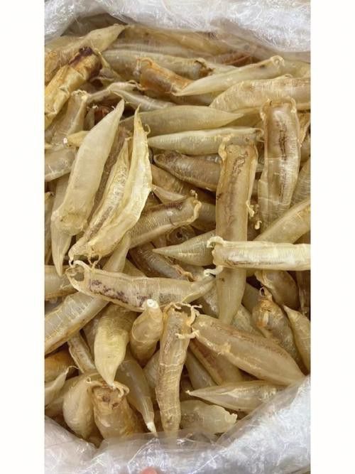 正宗金龍魚膠圖片及價格