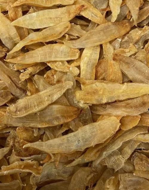 正宗金龍魚膠圖片及價格