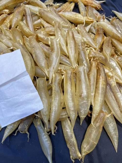 正宗金龍魚膠圖片及價格