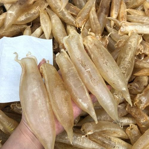 正宗金龍魚膠圖片及價格