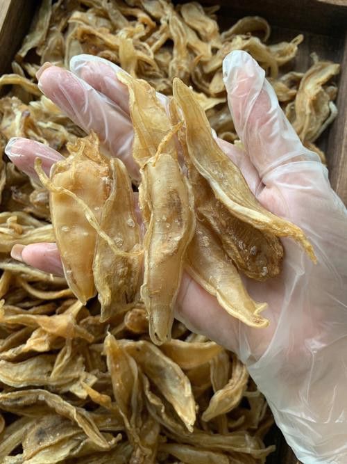 正宗金龍魚膠圖片及價格