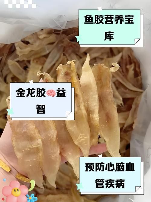 正宗金龍魚膠圖片及價格