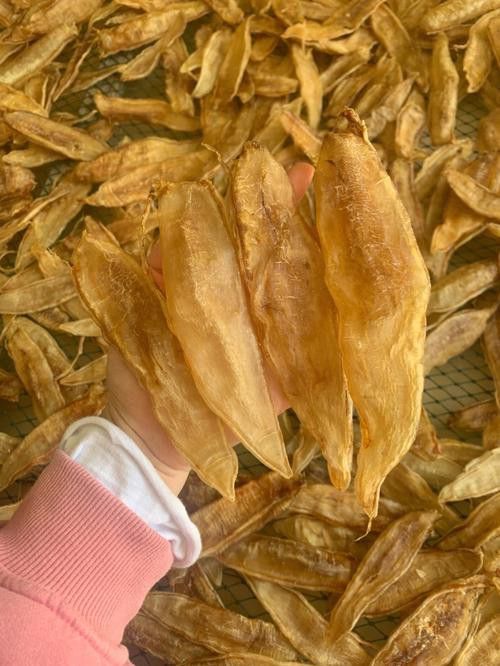 正宗金龍魚膠圖片及價格