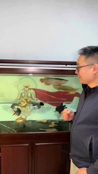 保定龍魚專賣店 保定龍魚專賣店 龍魚百科 第1張