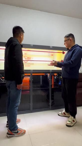 保定龍魚專賣店 保定龍魚專賣店 龍魚百科 第2張