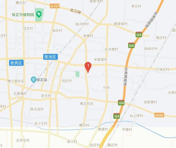 保定龍魚專賣店 保定龍魚專賣店 龍魚百科 第4張
