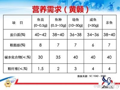 魚苗不同階段飼料選擇指南：不同階段的魚苗飼料選擇指南，不同階段的飼料選擇指南
