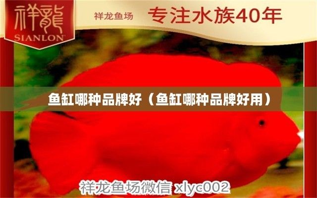 魚缸養魚幾天換一次水比較好（魚缸換水的最佳時間如何判斷）