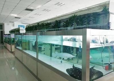 龍魚養殖利潤(龍魚養殖的利潤空間) 龍魚百科 第5張 龍魚養殖利潤(龍魚養殖的利潤空間) 龍魚養殖利潤(龍魚養殖的利潤空間) 龍魚百科 第5張