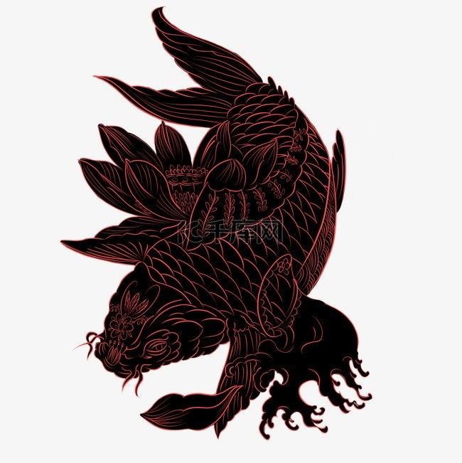 黑龍魚圖片高清