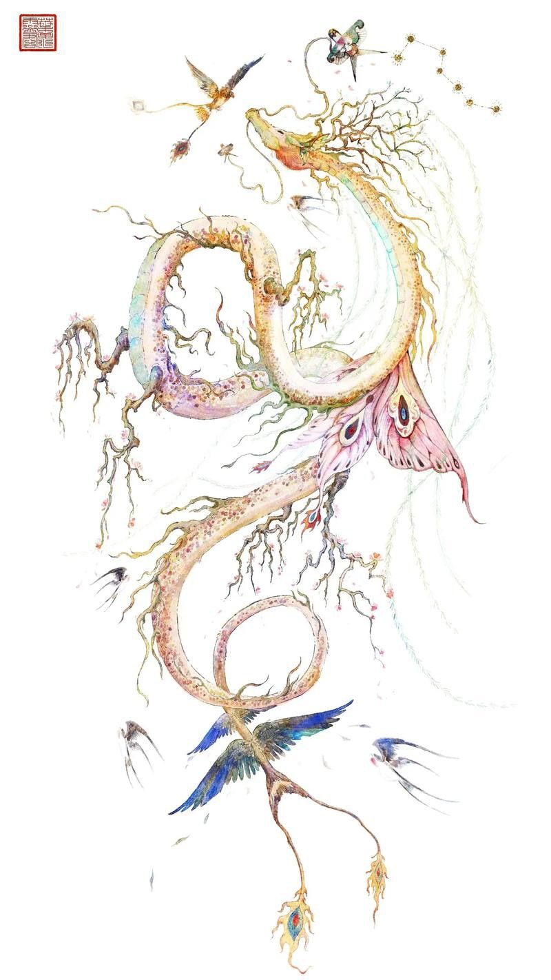 給我推薦一些高清的紅龍魚壁紙圖片 給我推薦一些高清的紅龍魚壁紙圖片 龍魚百科 第43張