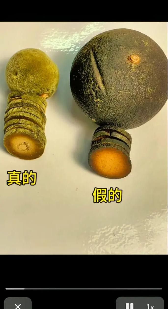 如何區分橘紅龍魚與其他品種？