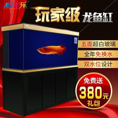一般龍魚(yú)缸水位高度：一般龍魚(yú)缸水位高度標(biāo)準(zhǔn)
