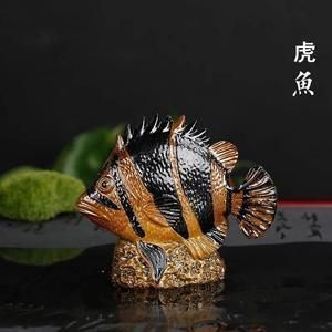 金龍魚變色的階段有哪些變化：金龍魚變色的過程