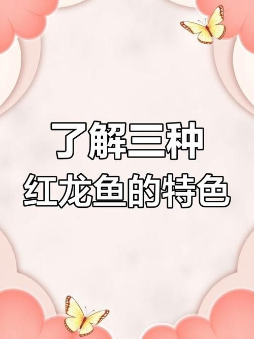 龍魚有什么特點(diǎn)和特征圖片