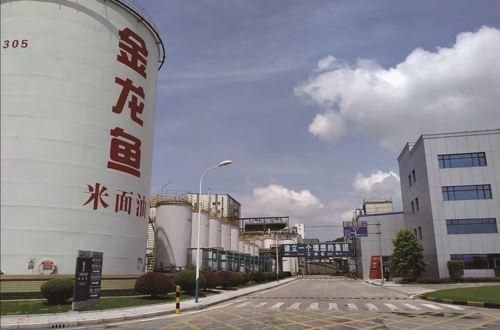 金龍魚餐飲渠道,金龍魚餐飲渠道業績影響因素金龍魚調味品市場布局 龍魚百科 第2張 金龍魚餐飲渠道,金龍魚餐飲渠道業績影響因素金龍魚調味品市場布局 金龍魚餐飲渠道,金龍魚餐飲渠道業績影響因素金龍魚調味品市場布局 龍魚百科 第2張