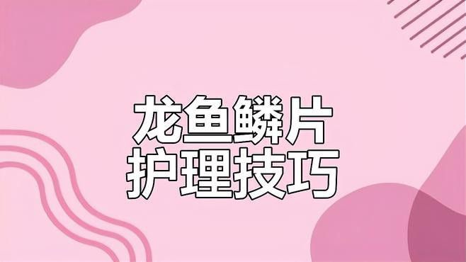 龍魚鱗片發黑后還能恢復嗎？