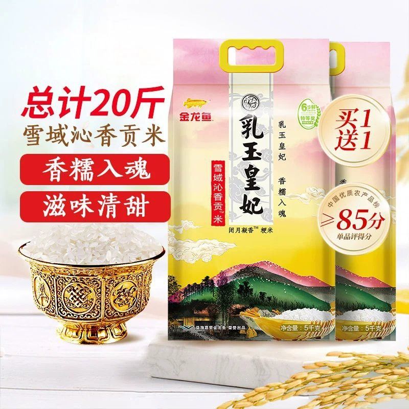 哪里可以買到高品質的金龍魚？ 哪里可以買到高品質的金龍魚？ 龍魚百科 第11張