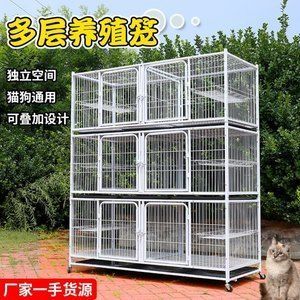 其他寵物批發：北京梨園寵物用品商城、廣州花地灣花鳥魚蟲市場批發市場