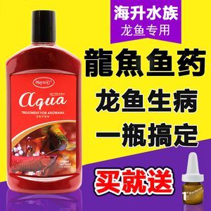 龍魚爛鱗用什么藥：治療龍魚爛鱗的方法