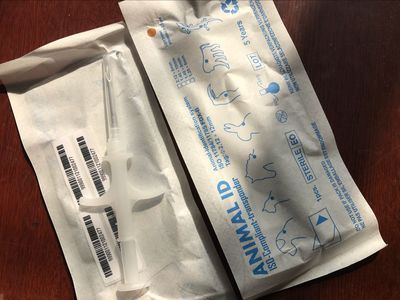 金龍魚25平方電線價格：金龍魚25平方電線價格可能會有所不同具體價格信息 金龍魚25平方電線價格：金龍魚25平方電線價格可能會有所不同具體價格信息 龍魚百科 第2張