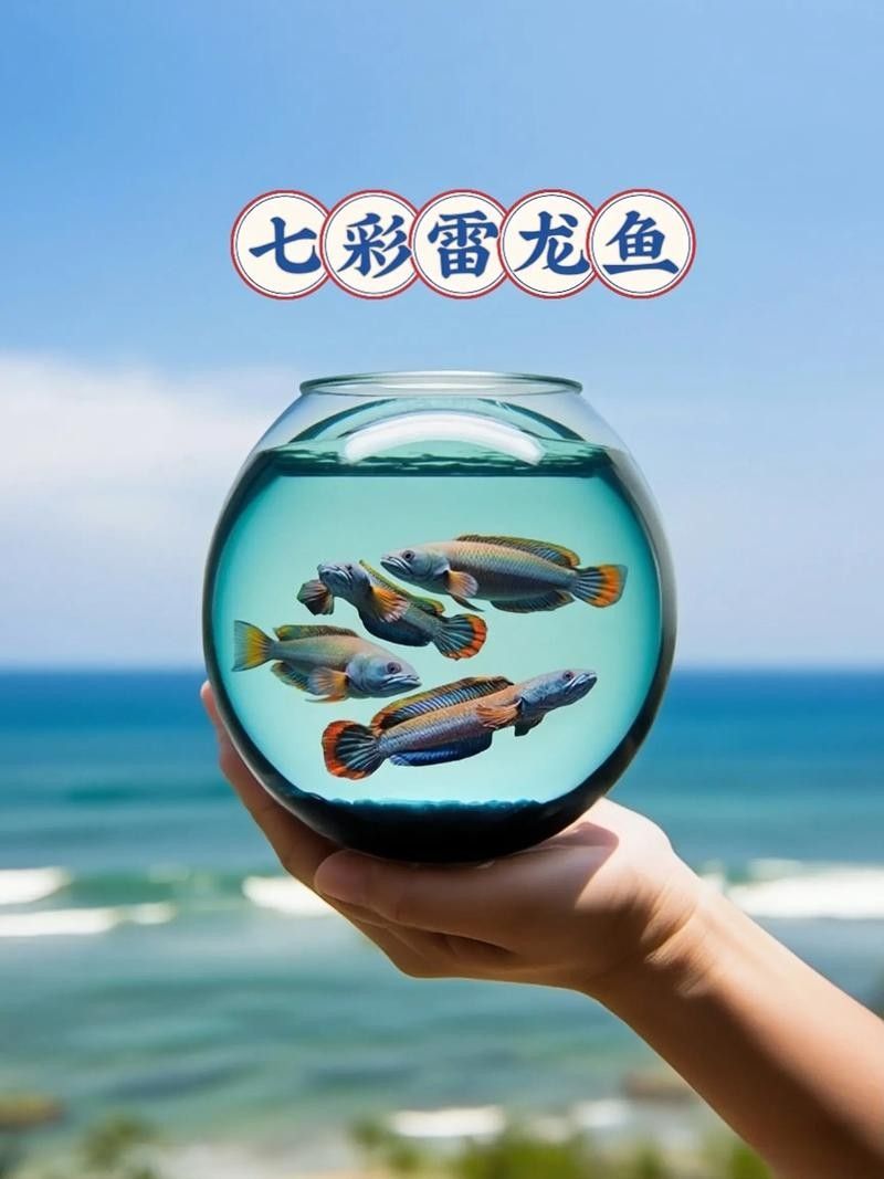 雷龍魚是什么樣的品種圖片大全 雷龍魚是什么樣的品種圖片大全 龍魚百科 第16張