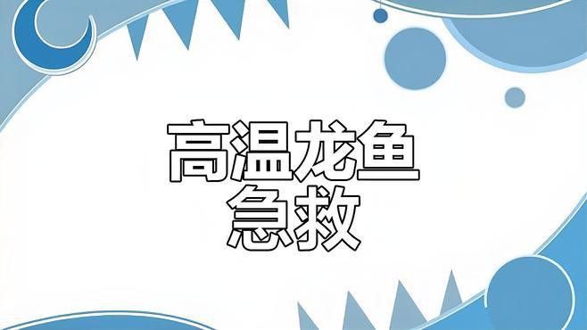 如何正確清洗和更換龍魚飼養的濾材？