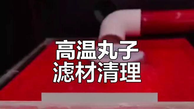如何正確清洗和更換龍魚飼養的濾材？