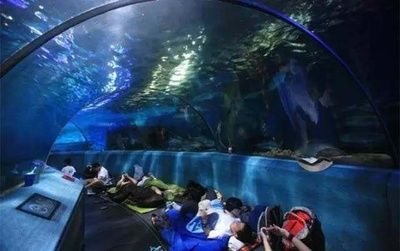 南京水族館（南京海底世界的特色動物）