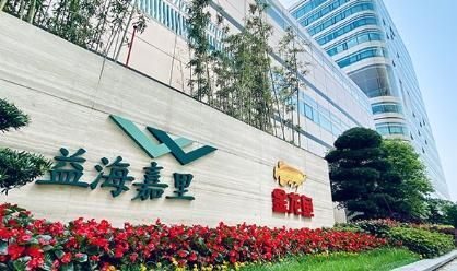 宏觀經濟對金龍魚價格影響，金龍魚價格波動會影響金龍魚價格波動對市場有影響嗎