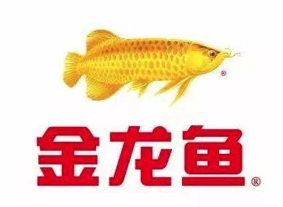 禁止進口金龍魚，金龍魚的進口并非全面禁止 禁止進口金龍魚，金龍魚的進口并非全面禁止 龍魚百科 第4張