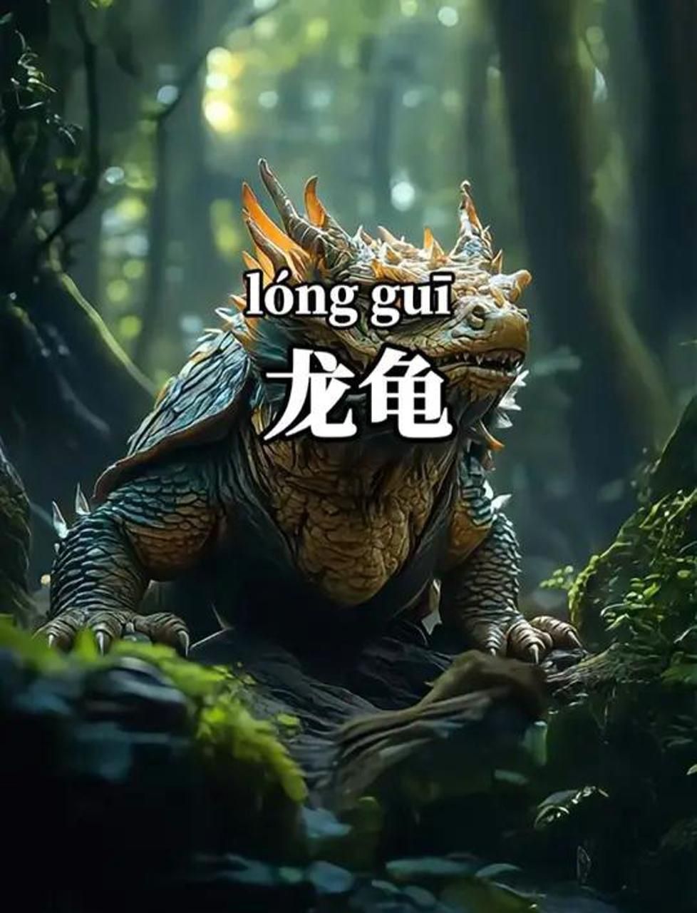 龍龜可以鎮宅辟邪嗎？