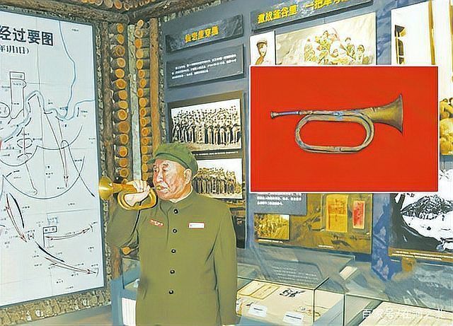 綠老虎團旗 綠老虎團旗 龍魚百科 第1張