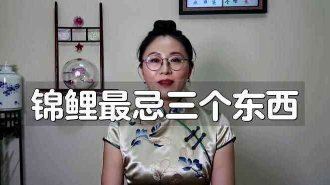 錦鯉濾材最忌三種東西