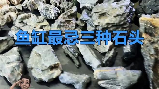 錦鯉濾材最忌三種東西